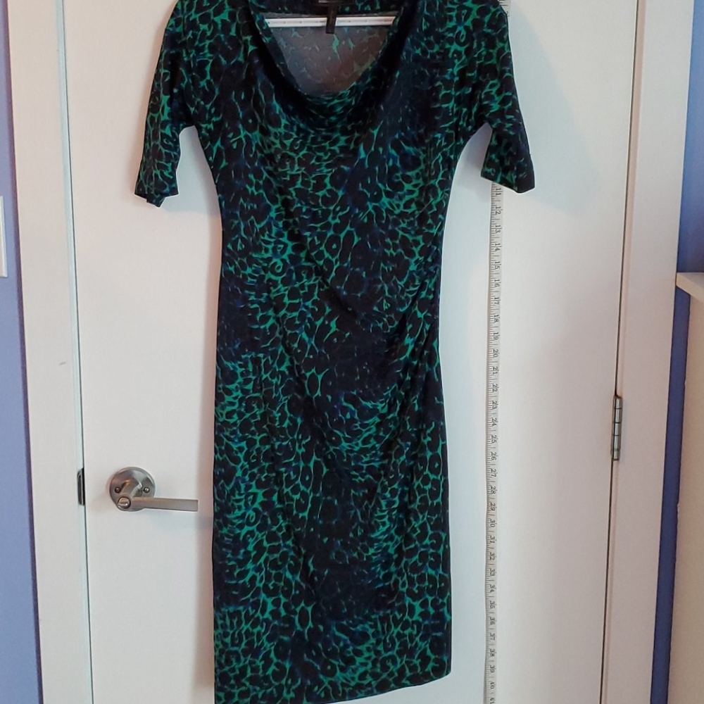 EUC Jade Leopard Print BCBGMaxAzria Dress